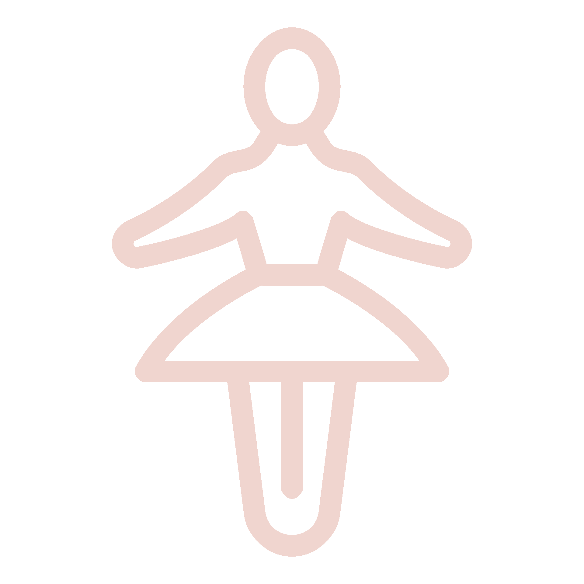 Costumi
